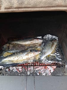 sül már a vacsora_ holiday in Vir